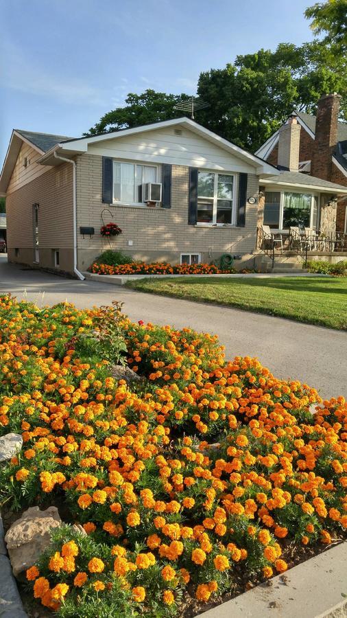Trillium Bed & Breakfast Niagara Falls Exterior photo